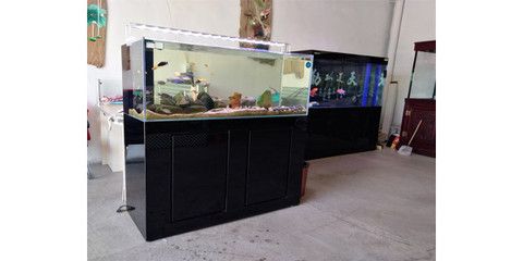 水族工程设计的魅力水族工程设计魅力水族工程设计：定制鱼缸哪家好 鱼缸百科 第4张