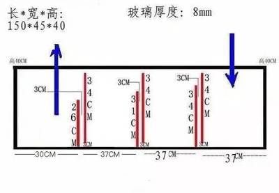 底滤鱼缸的尺寸图可以帮助您更好地规划和设计您的水族箱：底滤鱼缸尺寸图及相关设计要点