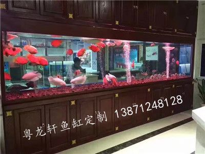 汉川市鱼多多水族金鱼店提供鱼缸销售相关服务：汉川市有哪些卖鱼缸的店铺？ 鱼缸百科 第1张