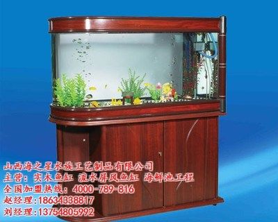 汉川市鱼多多水族金鱼店提供鱼缸销售相关服务：汉川市有哪些卖鱼缸的店铺？ 鱼缸百科 第2张