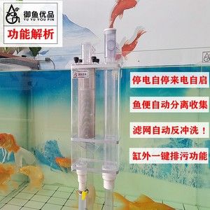 底滤鱼缸的设计原理是什么：底滤鱼缸水质管理的重要性鱼缸水质管理的重要性 鱼缸百科 第1张