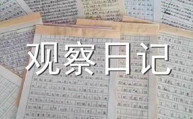 观察鱼缸里的小鱼日记：观察我家鱼缸里的小鱼日记,我家的鱼缸里生活着一群可爱的小鱼 鱼缸百科 第1张