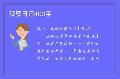 观察鱼缸里的小鱼日记：观察我家鱼缸里的小鱼日记,我家的鱼缸里生活着一群可爱的小鱼 鱼缸百科 第3张