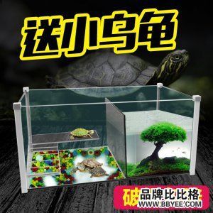 水族箱行业知名品牌：中山市创星电器有限公司],水族箱行业知名品牌