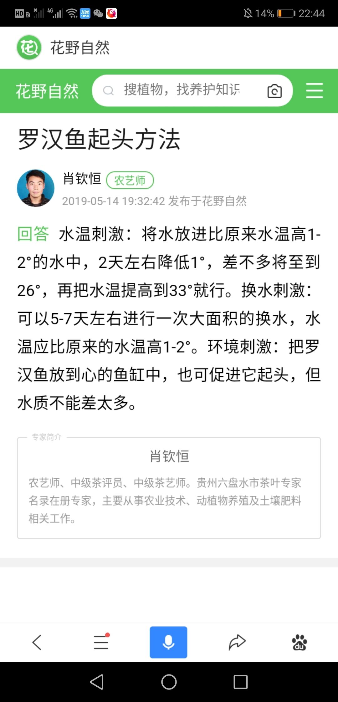 方法看反了还行，往事并不如烟评论：主要是基因：基因，亚然kt1fx 观赏鱼论坛