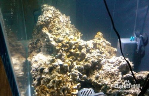 观赏海水族鱼缸的使用方法是非常重要的观赏鱼缸的使用方法：观赏海水族鱼缸使用方法 鱼缸百科 第1张