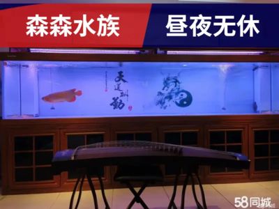 水族箱消毒的科学原理及使用方法：水族箱消毒的三种消毒方法各有优缺点 鱼缸百科 第1张