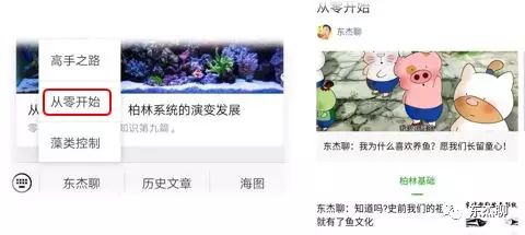 底滤鱼缸水位超过溢流口怎么办：底滤鱼缸底滤鱼缸底滤鱼缸水位超过溢流口的原因