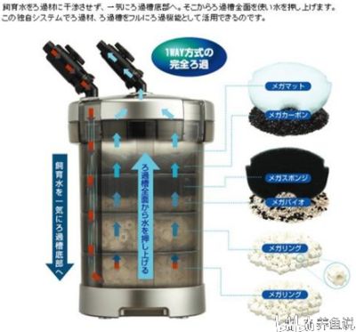 鱼缸生态系统的构建秘籍——底滤鱼缸：底滤鱼缸生态系统的构建秘籍鱼缸生态系统的摆放建议