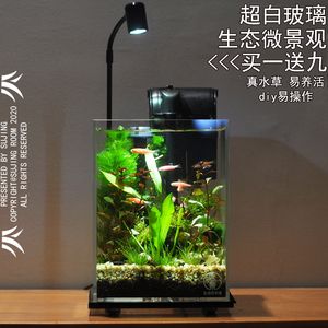 广州鱼缸造景灯购买地点介绍：广州水族用品市场探秘广州水族用品市场探秘广州水族用品市场 鱼缸百科 第1张