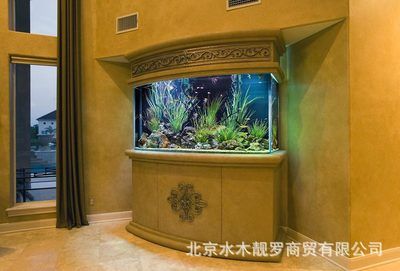 水族生态学定制鱼缸服务的公司是一家专业水族鱼缸公司：北京水族生态学定制鱼缸