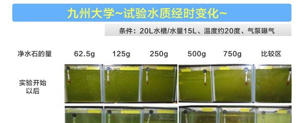 鱼缸过滤材料的摆放顺序和注意事项：养鱼新手入门基础知识