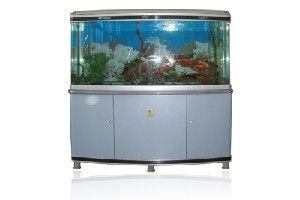 广兴水族鱼缸工艺厂的使用体验：广兴水族鱼缸工艺厂[需手动填充]广兴水族鱼缸工艺厂的使用体验