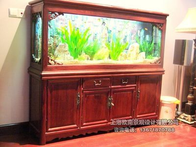 深圳艺景水族有限公司亚克力鱼缸定制：大型亚克力鱼缸安装与维护大型亚克力鱼缸的安装方法 鱼缸百科 第4张