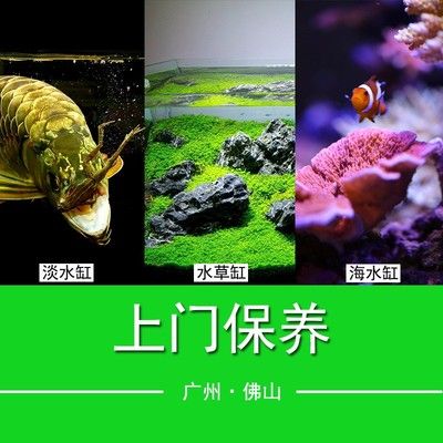 广州鱼缸清洗、造景公司：在广州提供鱼缸清洗、造景服务的公司 鱼缸百科 第3张