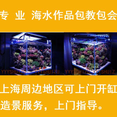 鱼缸风水布局秘籍在淘宝上订做鱼缸比较好的店铺和产品评价：淘宝上订做鱼缸比较好的店铺 鱼缸百科 第1张