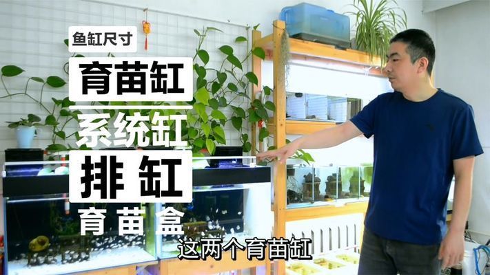 鱼缸中黑鱼的大小不一样可以考虑以下几点来改善这种情况：养鱼技巧：如何选择合适的鱼缸尺寸 鱼缸百科 第1张