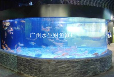 广州水族市场的特色广州水族市场的特色广州水族市场：广州卖鱼缸的公司 鱼缸百科 第4张