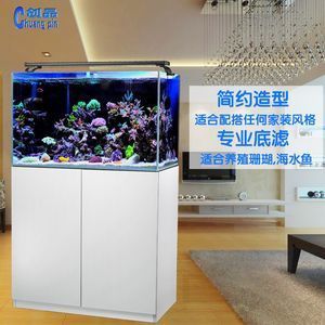 海鱼的饲养技巧：海水鱼养护技巧想要成功养活海水鱼需要注意的是海水鱼 鱼缸百科 第1张