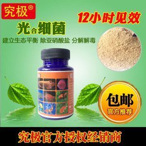 光合细菌在鱼缸中的应用：光合细菌在水产养殖中的应用 鱼缸百科 第4张