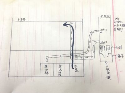 底滤鱼缸的维护与保养技巧：底滤鱼缸的工作原理主要包括以下几个步骤包括以下几个步骤 鱼缸百科 第3张