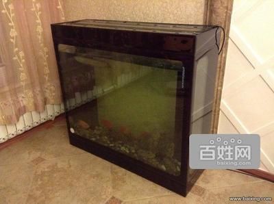 海之境鱼缸的优势：海之境鱼缸是一家专注于水族器材用品是一家专注于水族器材用品 鱼缸百科 第1张