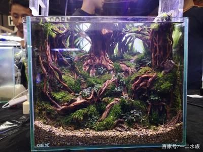 鱼缸造景师的职业发展路径水族造景师的职业发展路径：水族造景师的职业发展路径 鱼缸百科 第1张