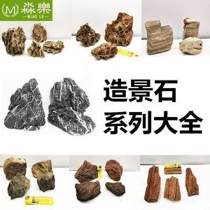 红木纹石鱼缸造景效果图，：如何进行红木纹石鱼缸造景 鱼缸百科 第3张