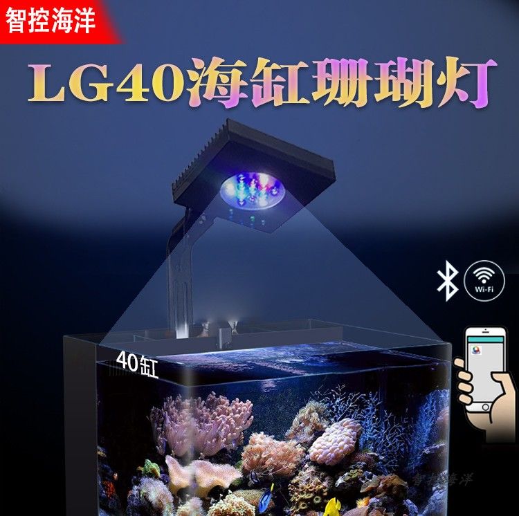 水族箱灯光设计的选择：水族箱灯光设计的艺术灯光在水族箱中扮演着至关重要的角色