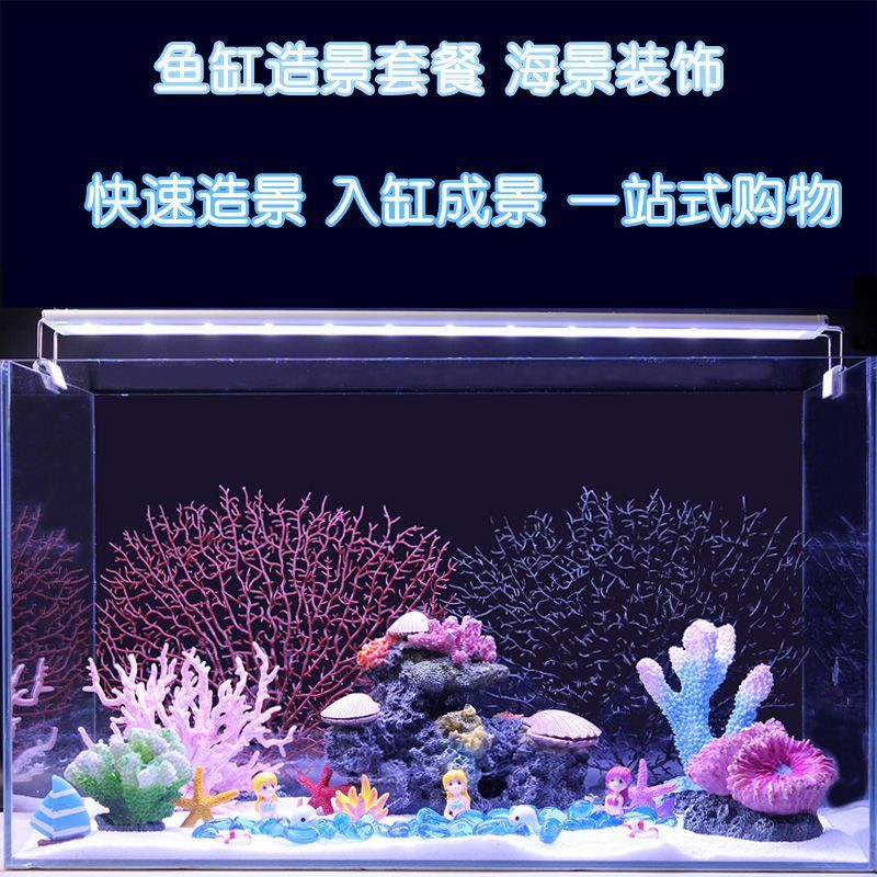 生态鱼缸与海景鱼缸的区别：海景鱼缸与生态鱼缸的养护技巧养护技巧养护生态鱼缸 鱼缸百科 第4张