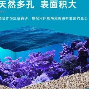 鱼缸用海沙可以用于淡水鱼缸吗：淡水鱼缸用海沙可以吗 鱼缸百科 第3张