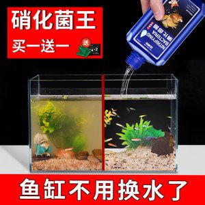 反硝化细菌在鱼缸中的作用有哪些？：反硝化细菌在鱼缸中的作用 鱼缸百科 第3张