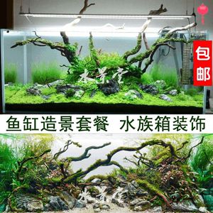 杜鹃根造景的价格是多少：广州市荔湾区鱼心水族店水族用品 