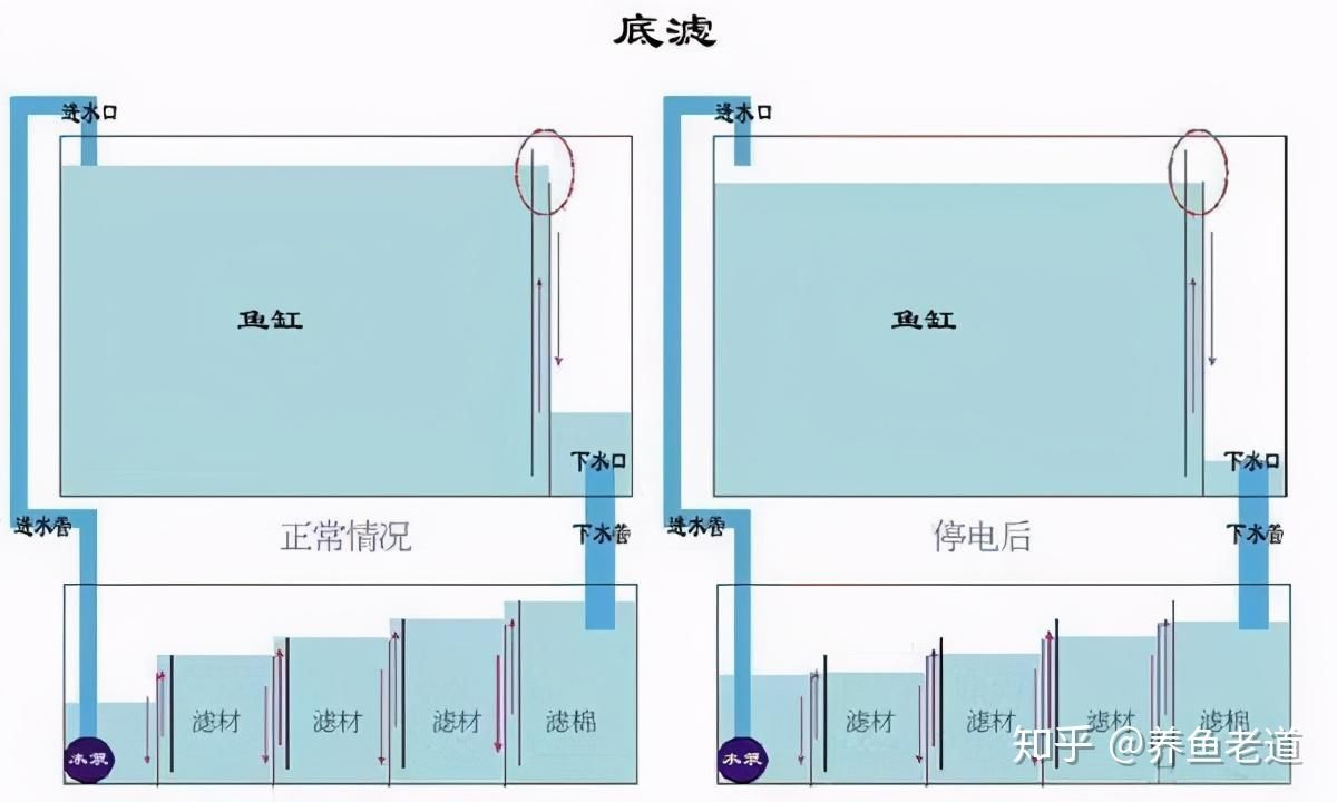 底滤鱼缸溢流设计的应用：底滤鱼缸溢流式底滤鱼缸溢流设计的创新应用和使用技巧 鱼缸百科 第1张