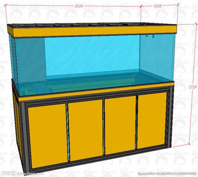 底滤鱼缸溢流设计的应用：底滤鱼缸溢流式底滤鱼缸溢流设计的创新应用和使用技巧 鱼缸百科 第3张