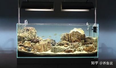 浮法玻璃的历史与发展：浮法玻璃与超白玻璃的区别 鱼缸百科 第2张