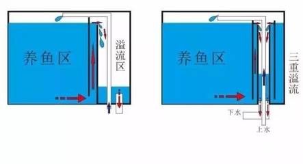 底滤鱼缸调整水位的方法及其具体步骤及其具体步骤：底滤鱼缸水位调节方法