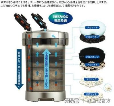 底滤鱼缸水浑浊的处理方法：底滤鱼缸水浑浊可能是由于多种原因引起的，包括物理性和生物性浑浊 鱼缸百科 第4张