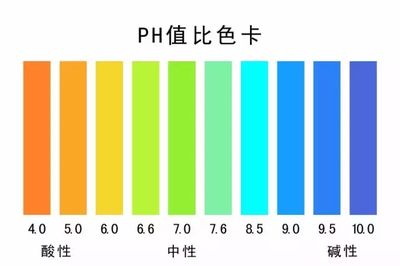 鱼缸水质ph值是养鱼过程中的一项重要任务：如何调节鱼缸水质ph值