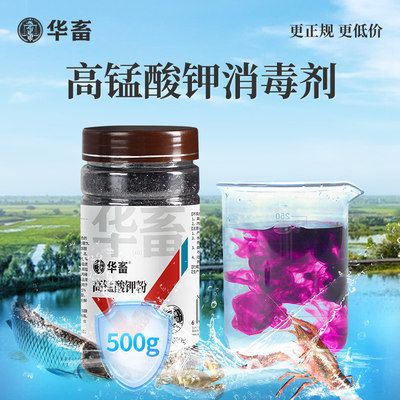 鱼缸消毒的科学原理、高锰酸钾的安全使用指南和使用指南：高锰酸钾鱼缸消毒的科学原理 鱼缸百科 第4张