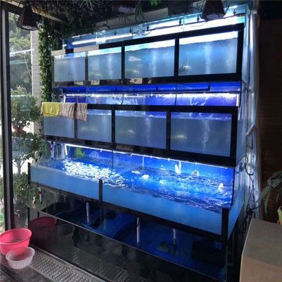 禹州市海中王鱼缸怎么样：禹州市海中王水族用品店 鱼缸百科 第3张