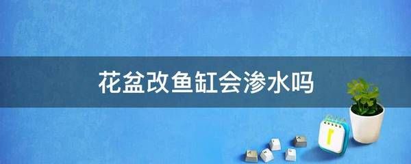 花盆改鱼缸的技巧：花盆改造鱼缸的技巧 鱼缸百科 第3张