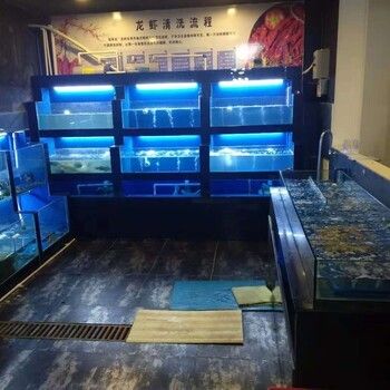 生态鱼缸的设计原理是什么？：无锡鸿颜水族生态鱼缸设计原理生态鱼缸的设计原理 鱼缸百科 第3张