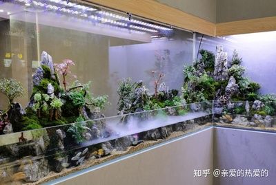 观赏鱼缸摆放位置时需要综合考虑风水学、空间利用以及观赏效果等多个因素：办公室风水布局指南办公室鱼缸摆放风水布局指南 鱼缸百科 第3张