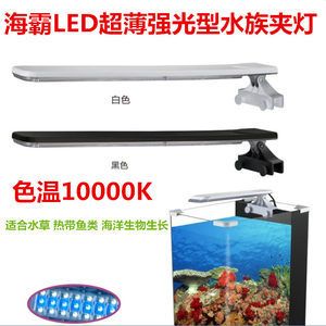 西安秦海宠物用品有限公司海霸鱼缸养护与维护指南养护指南：海霸鱼缸价格怎么样 鱼缸百科 第2张