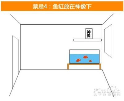 风水鱼缸的摆放位置需要综合考虑风水学的原则、风水学的原则：风水鱼缸摆放位置需要综合考虑风水鱼缸的摆放位置 鱼缸百科 第2张