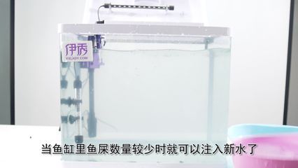 过滤桶和鱼缸粪便收集器的区别：过滤桶和鱼缸粪便收集器各有其特点和适用场景 鱼缸百科 第3张