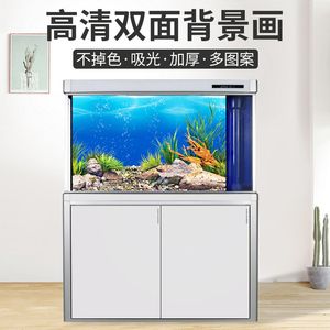 水族箱装饰艺术水族箱装饰艺术水族箱装饰艺术水族箱装饰艺术：佛像鱼缸背景设计 鱼缸百科 第2张