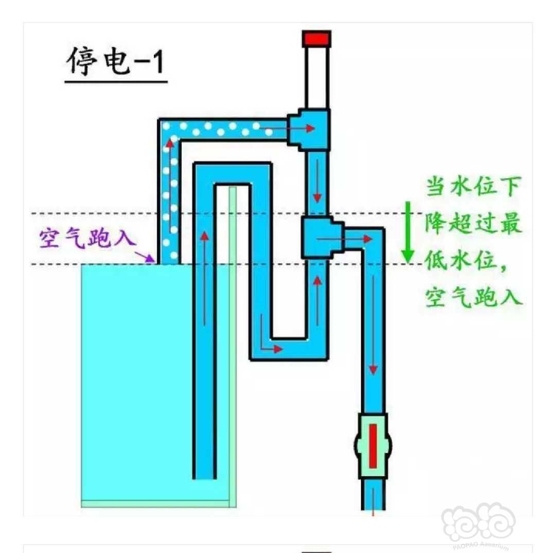 虹吸原理是一种利用液面高度差的作用力现象的运作机制：虹吸原理在建筑设计中的应用 鱼缸百科 第2张