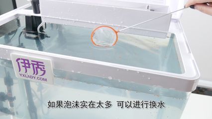 鱼缸换水后出现白沫怎么办：刚换水鱼缸上出现白沫怎么办